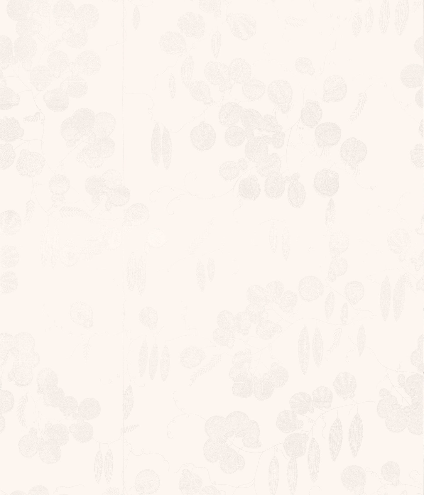 【上野リチ L.Rix Fantasy 】 Felice〔Lizzi〕Rix-Ueno Archive I 壁紙(そらまめ)