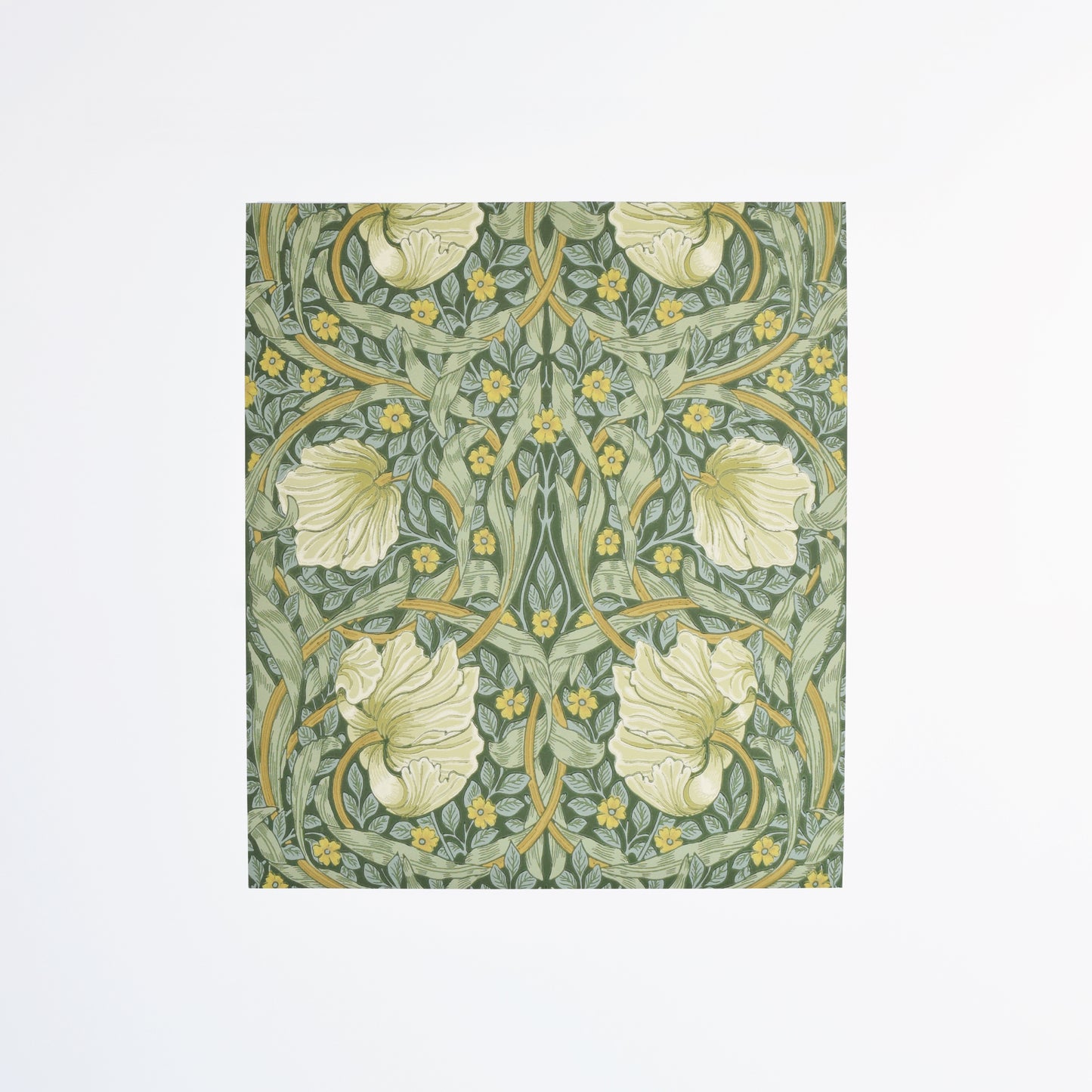 【MORRIS & CO.】  カット壁紙 60cm