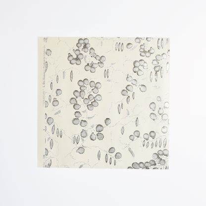 【上野リチ L.Rix Fantasy 】越前和紙カット壁紙