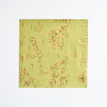 【上野リチ L.Rix Fantasy 】越前和紙カット壁紙