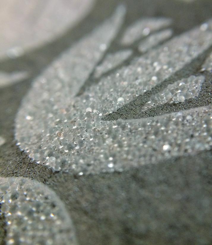 【MORRIS & CO.】 カット壁紙 １ｍ (いちご泥棒 ピュア)